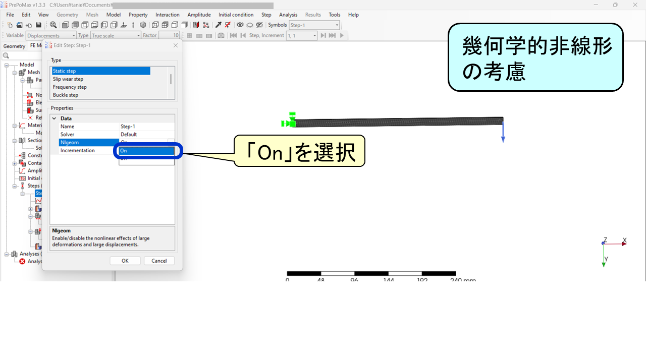 PrePoMaxのStep設定画面：NlgeomをOnに変更して幾何学的非線形を考慮する